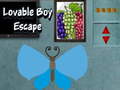 Hry Lovable Boy Escape