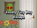 Hry Lovely Tiny Boy Escape