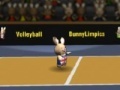 Hry Bunny volleyball