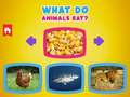 Hry What Do Animals Eat?