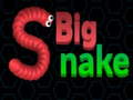 Hry Big Snake