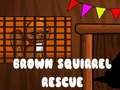 Hry Brown Squirrel Rescue