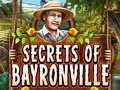 Hry Secrets of Bayronville