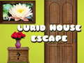 Hry Lurid House Escape