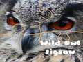 Hry Wild owl Jigsaw