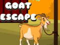 Hry Goat Escape