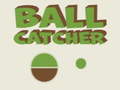 Hry Ball Catcher