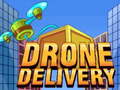 Hry Drone Delivery