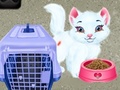 Hry Baby Taylor Pet Care