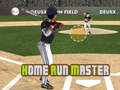 Hry Home Run Master