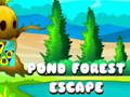 Hry Pond Forest Escape