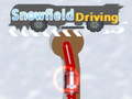 Hry Snowfield Driving