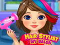 Hry Hair Stylist DIY Salon