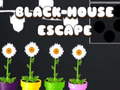 Hry Black House Escape