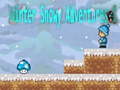 Hry Winter Snowy Adventures 1