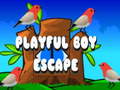 Hry Playful Boy Escape