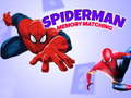 Hry Spiderman Memory Matching