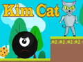 Hry Kim Cat