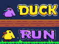 Hry Duck Run