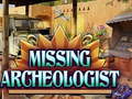 Hry Missing Archeologist