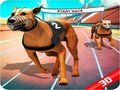 Hry Crazy Dog Race