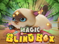 Hry Magic Blind Box