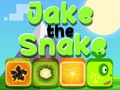 Hry Jake The Snake