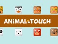 Hry Animal Toush