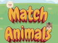 Hry Match Animals