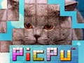 Hry PicPu Cat 