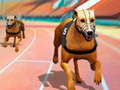 Hry Dogs3D Races