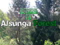 Hry Return To Alsunga Forest