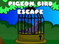 Hry Pigeon Bird Escape