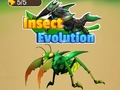 Hry Insect Evolution