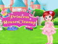 Hry Princess House Cleanup