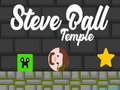 Hry Steve Ball Temple