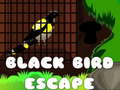 Hry Black Bird Escape