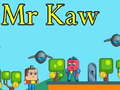 Hry Mr Kaw