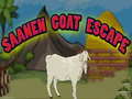 Hry Saanen Goat Escape