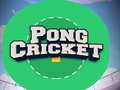 Hry Pong Cricket