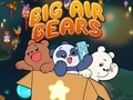 Hry Big Air Bears