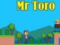 Hry Mr Toro