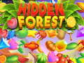 Hry Hidden Forest