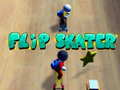 Hry Flip Skater