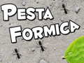 Hry Pesta Formica