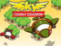 Hry Sky Combat Squardom