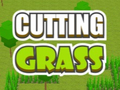 Hry Cutting Grass