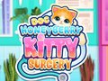 Hry Doc HoneyBerry Kitty Surgery