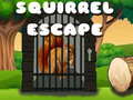 Hry Squirrel Escape