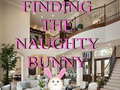 Hry Finding The Naughty Bunny